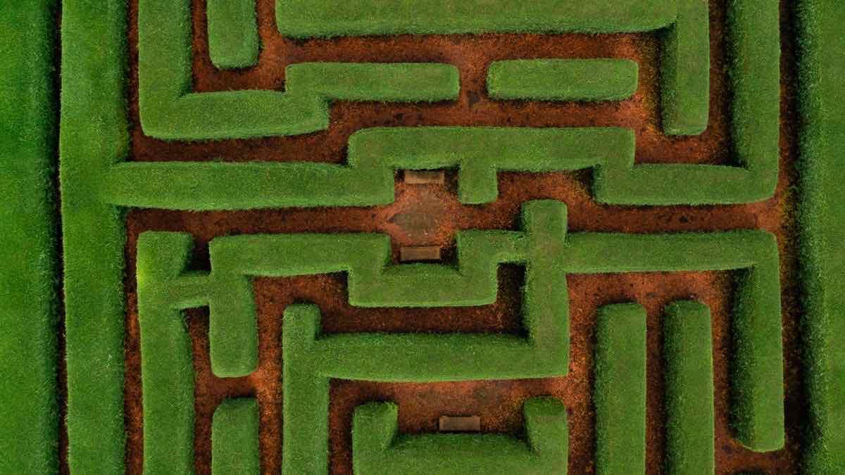 An aerial view of a green hedge maze — navigating the many LinkedIn data API options to find the right path