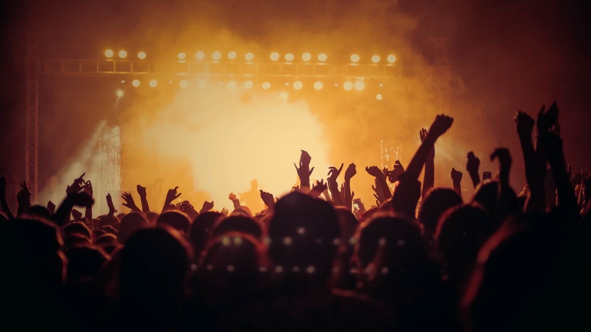 A crowd at a live music event with stage lighting, illustrating the music and sound data a TikTok call can return