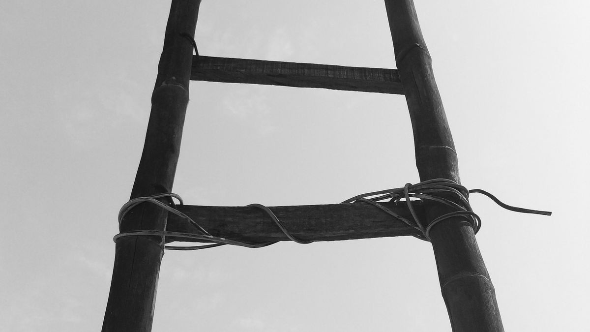 A black-and-white photo looking up a bamboo ladder with two wooden rungs tied by wire against a pale sky