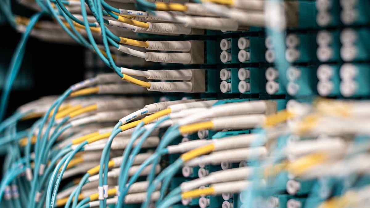 Rows of blue and white fibre patch cables plugged into a teal patch panel in a data centre rack