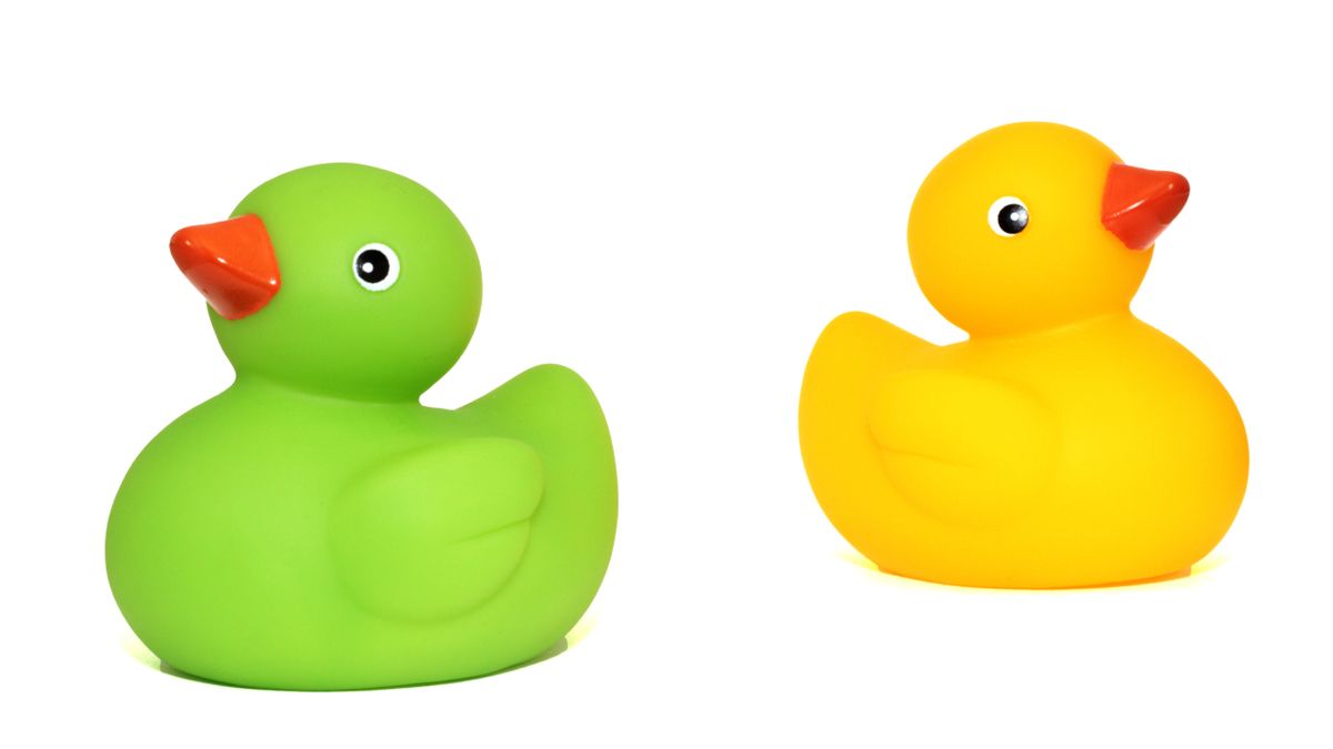 Rubber ducks representing scraping DuckDuckGo
