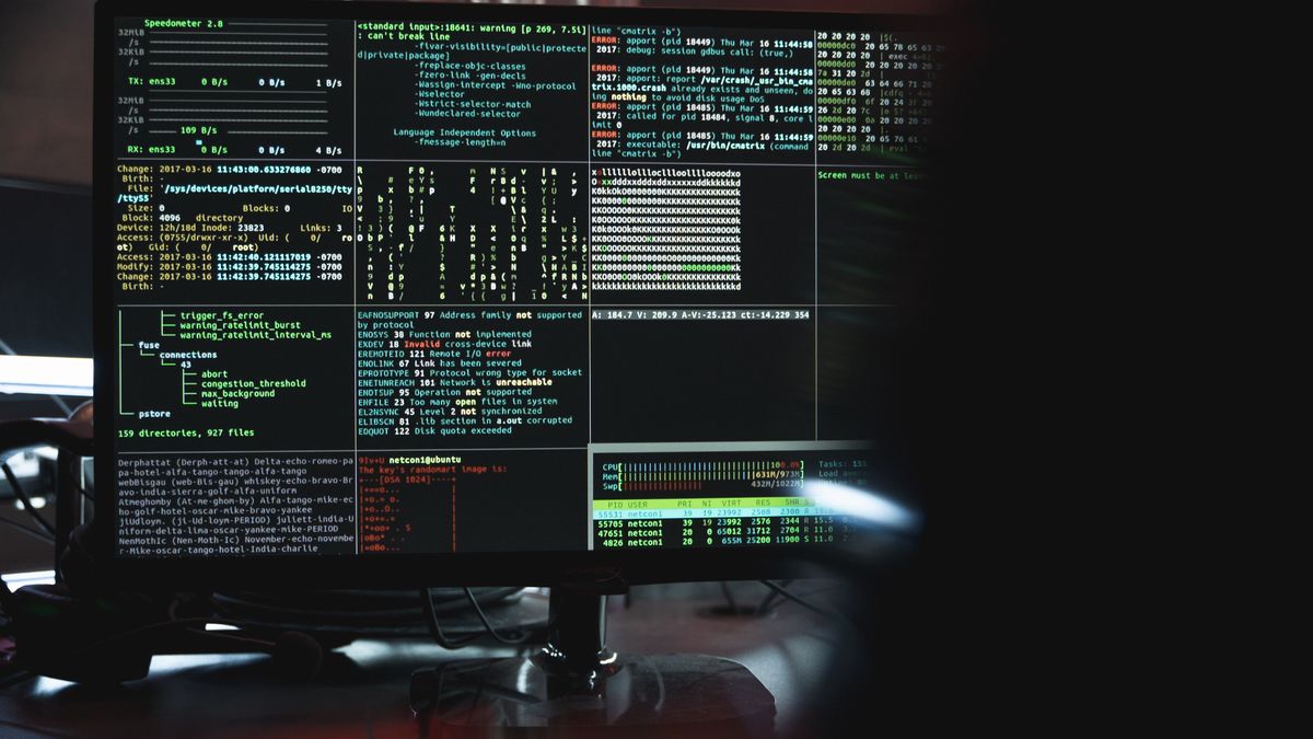 A terminal showing system monitoring and rate-limit output, representing the DuckDuckGo 202 Ratelimit