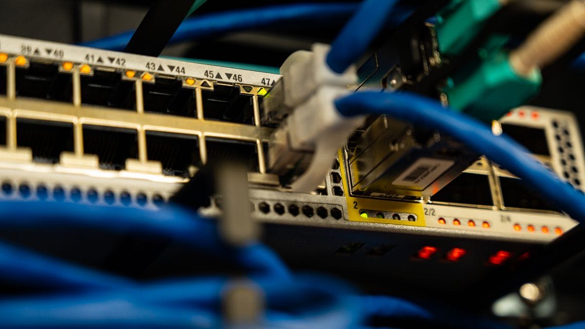 A network switch with blue ethernet cables plugged in, representing HTTP requests from a Go client