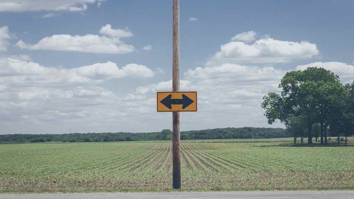 A two-way arrow road sign on a pole against open sky, representing the choice between Serper and its alternatives
