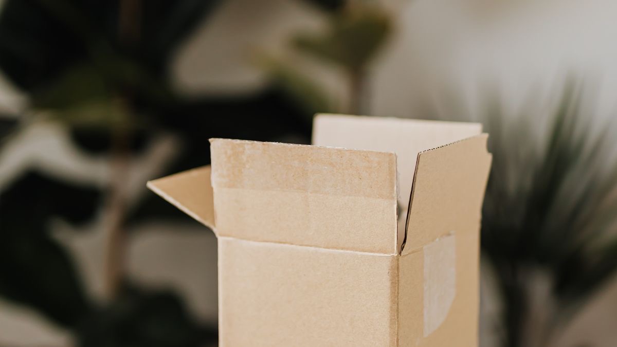 An empty cardboard box on a plain surface, illustrating a data request that returns nothing and the question of who pays for it