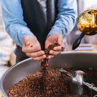 A barista scooping roasted beans by hand